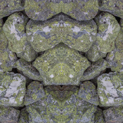 Glitch