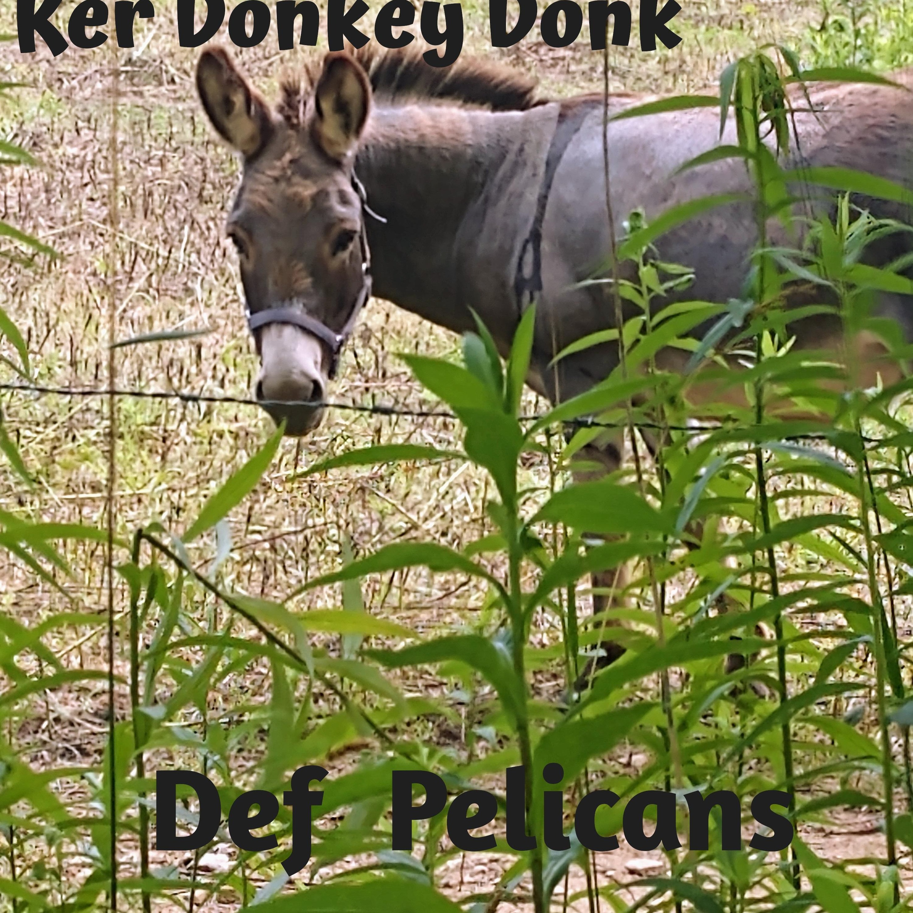 Def Pelicans - Ker Donkey Donk episode artwork
