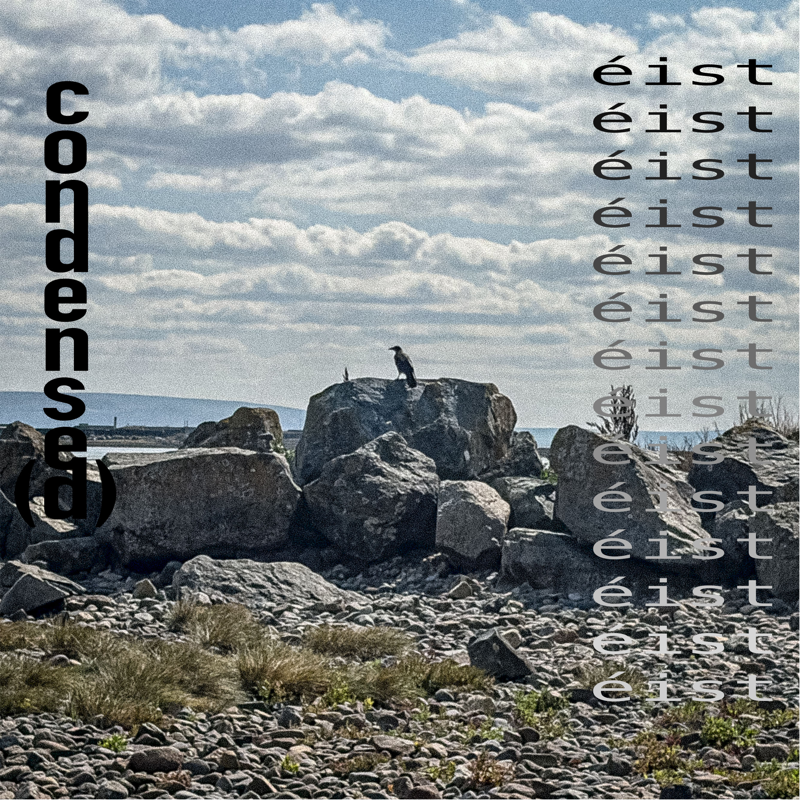 Condense(d) Ep. 23