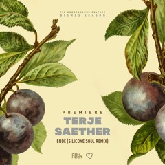 PREMIERE: Terje Saether - Ende (Silicone Soul Remix) [Cuore Records]
