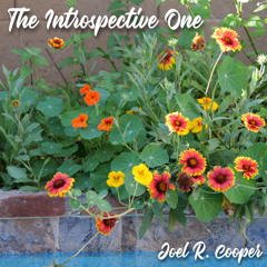 The Introspective One