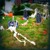 Artwork for SKELETONS!