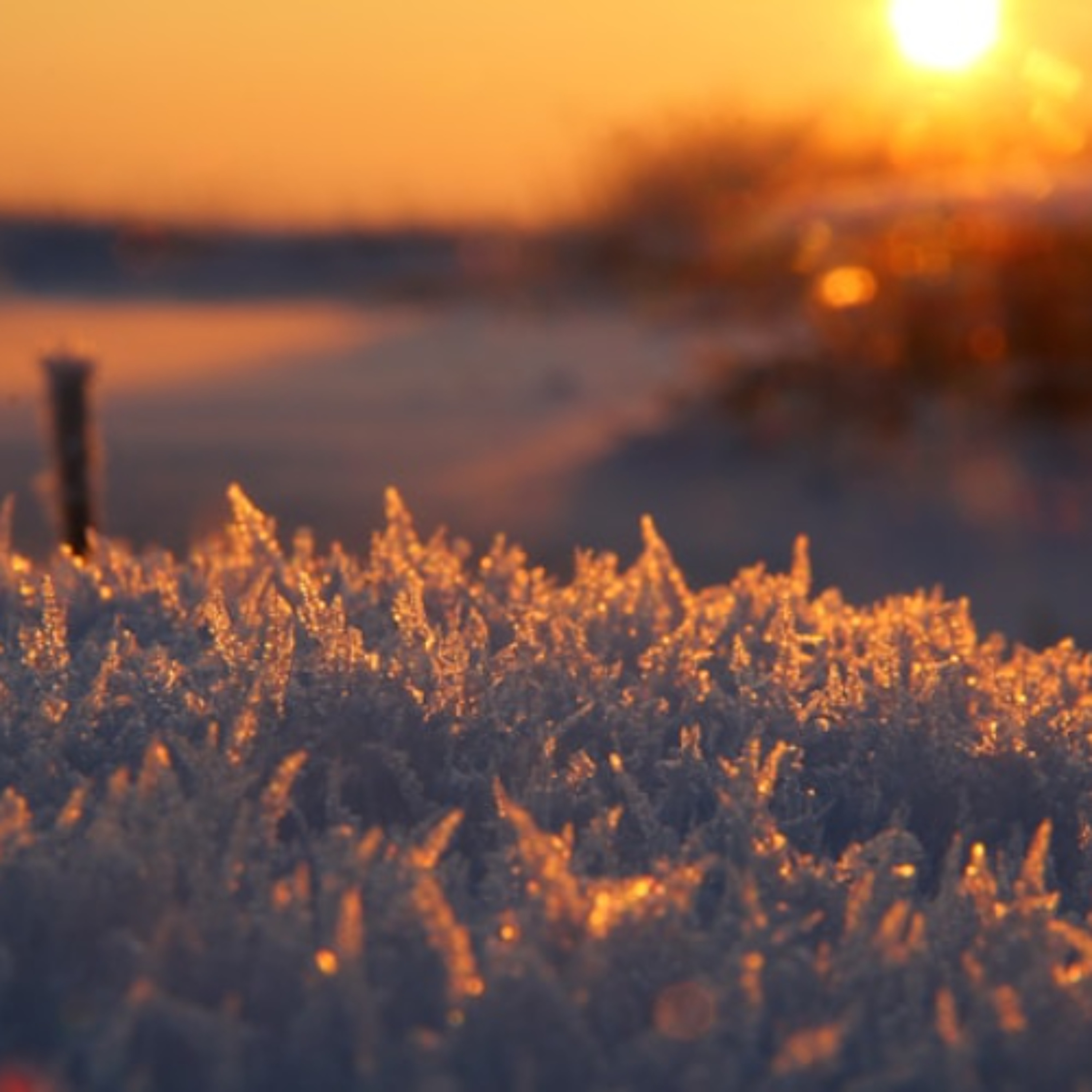 Lectio Divina for John 1 with Nathan Meckley