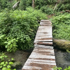 severin’s salad bar ep1