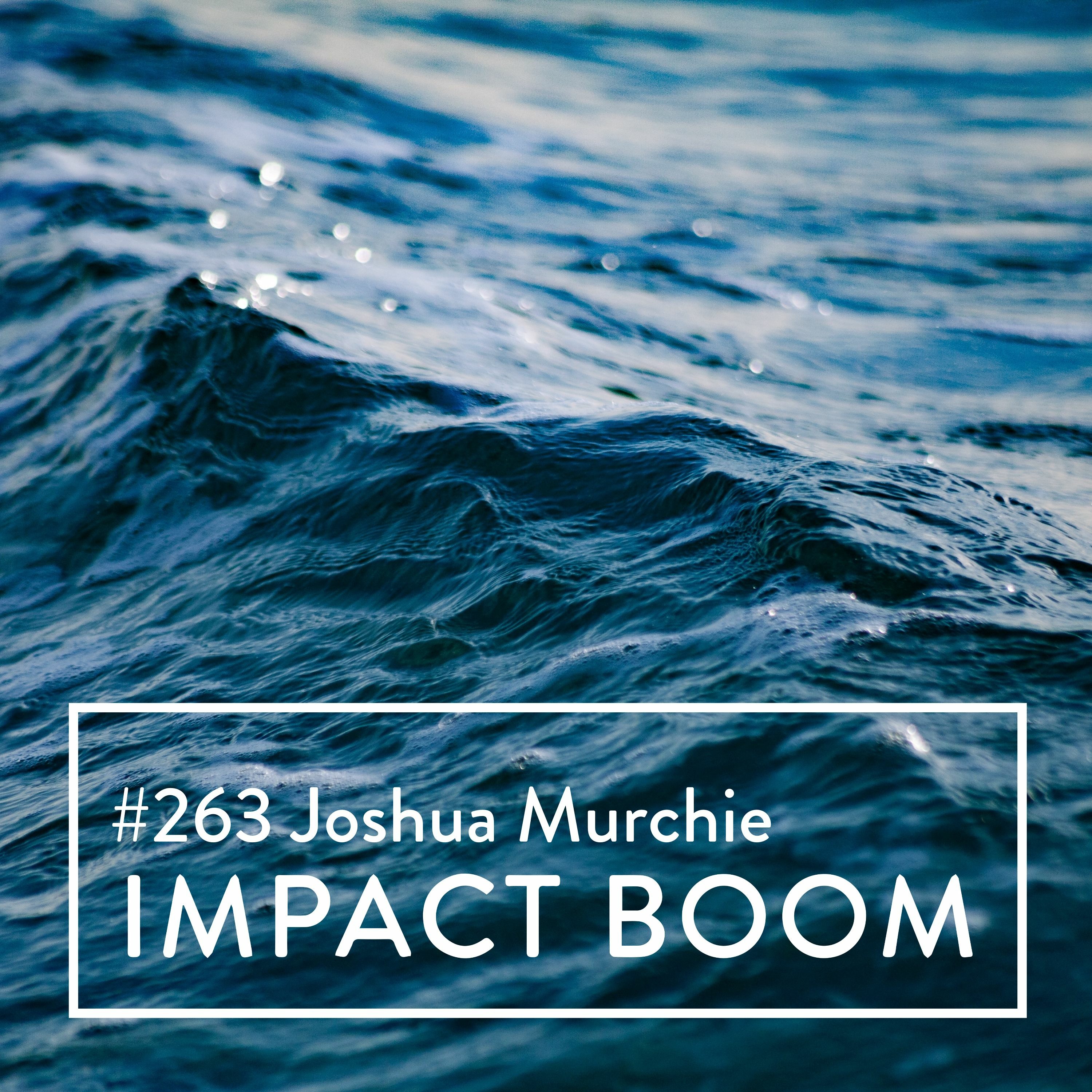 Episode 263 (2021) Joshua Murchie On Redesigning The Philanthropic System Through Digital Means episode artwork
