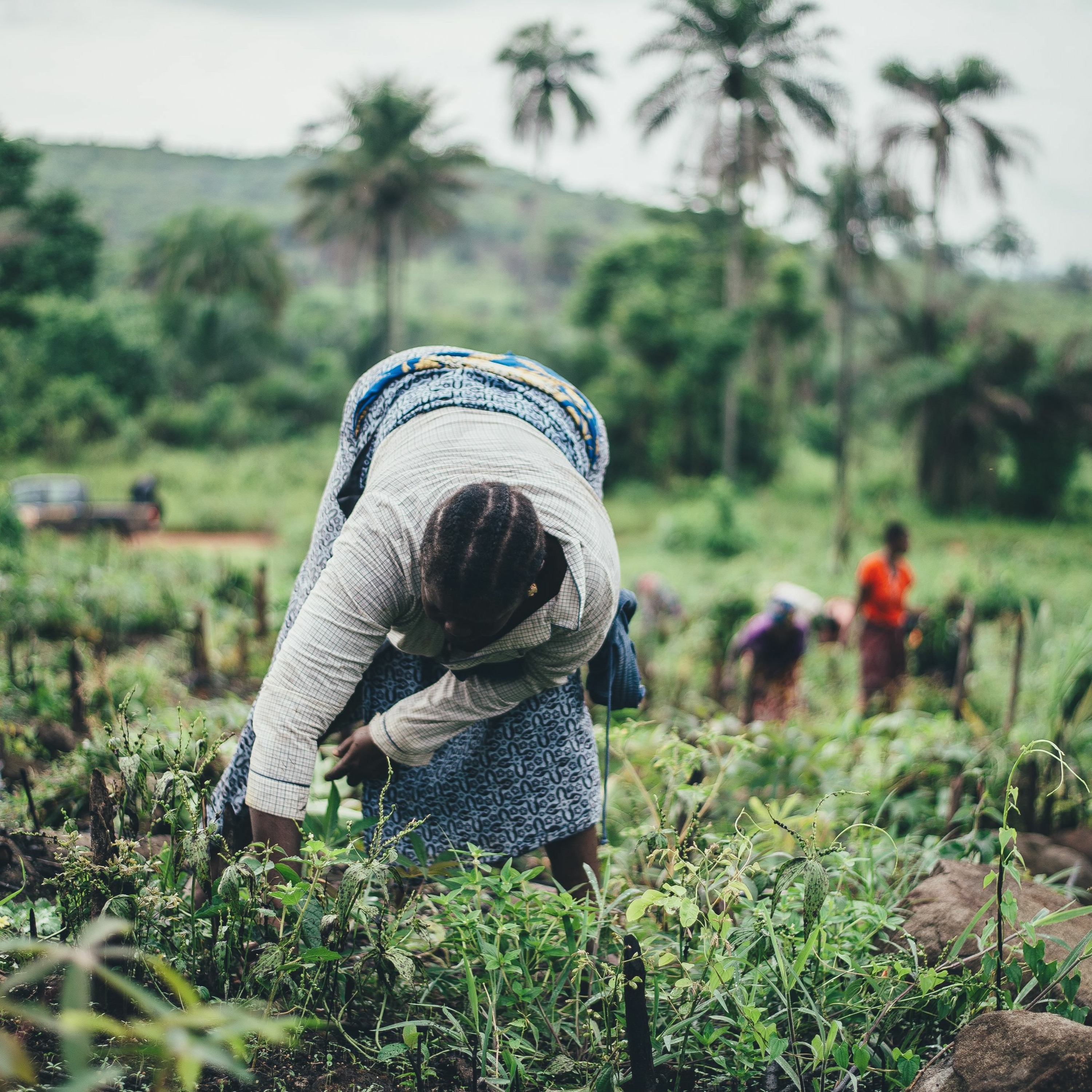 UNAJUA S4 EP1: What lies are often told about Africa’s agriculture sector? ft. Karidas Tshitshonlo