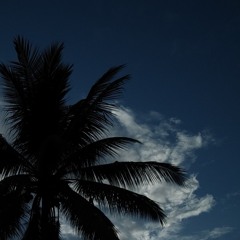 ミラクルミュージカル - Hawaii- Part II- Part ii - white ball (raw strings) end part only.