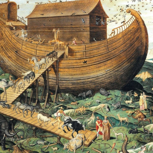 Stream Parshas Noach Did Noach Keep Kosher By Dovid Gross Listen