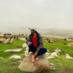 Taoufik_&_Merone_Music_-_Summer_Winds✌