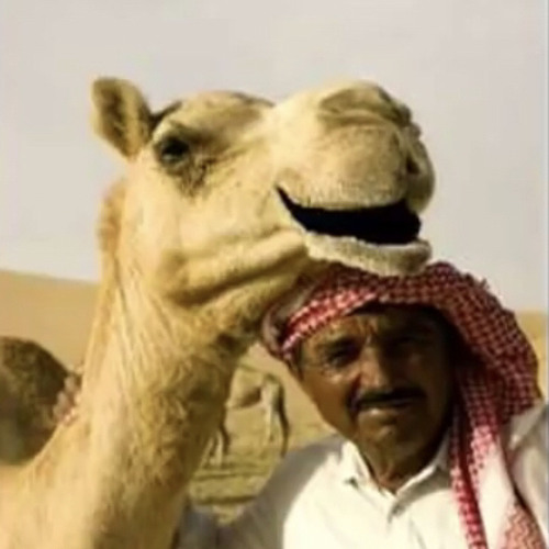 Stream Rucka Rucka Ali - Jihad Me @ Hello by thomasoffire | Listen ...