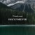 Artwork for Chris Tomlin - Holy Forever (instrumental)