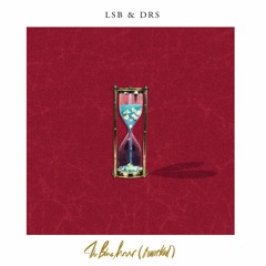 LSB & DRS - Letting Go (FD Remix)