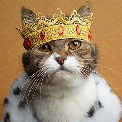 Ma copine à moi.mp3