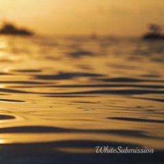 BNWO - Feminize & Prepare For BBC (TEASER)