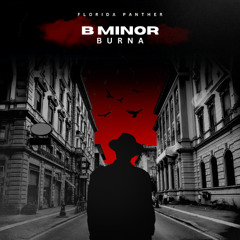 Bm Burna
