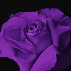 Lately (Prod. Yondo)