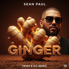 Sean Paul - Ginger (FEIER & EIS Remix)