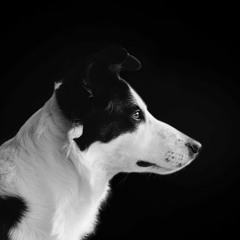 Is That You ? [48 kHz 24-bit]