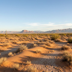 آيات من سورة الإسراء | تلاوة خاشعة للقارئ محمد خليل