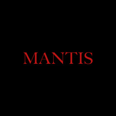 Bangers/18