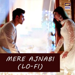 Mere Ajnabi | Lo-Fi | Slow & Reverb 🎶 | Farhan Saeed | ARY Digital