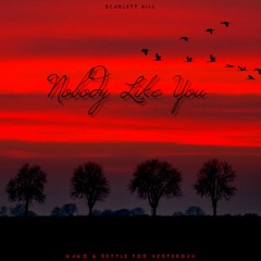 Nobody Like You - Kakó & Settle For Yesterday