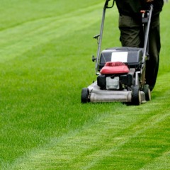 Stream Essential Reasons That Tell You To Opt For A Lawn Mowing Service