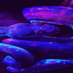 (FREE) Lil Gotit Type Beat "Viper" (Prod. TrizzyTrey)