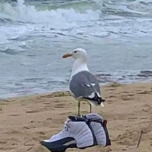 Stream Ballin', but at what cost? by Grandmaster Sharpie RH Chill 