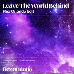 Deco x SHM & Laidback Luke - Sehni x Leave the world behind (Flex Orlando Edit)