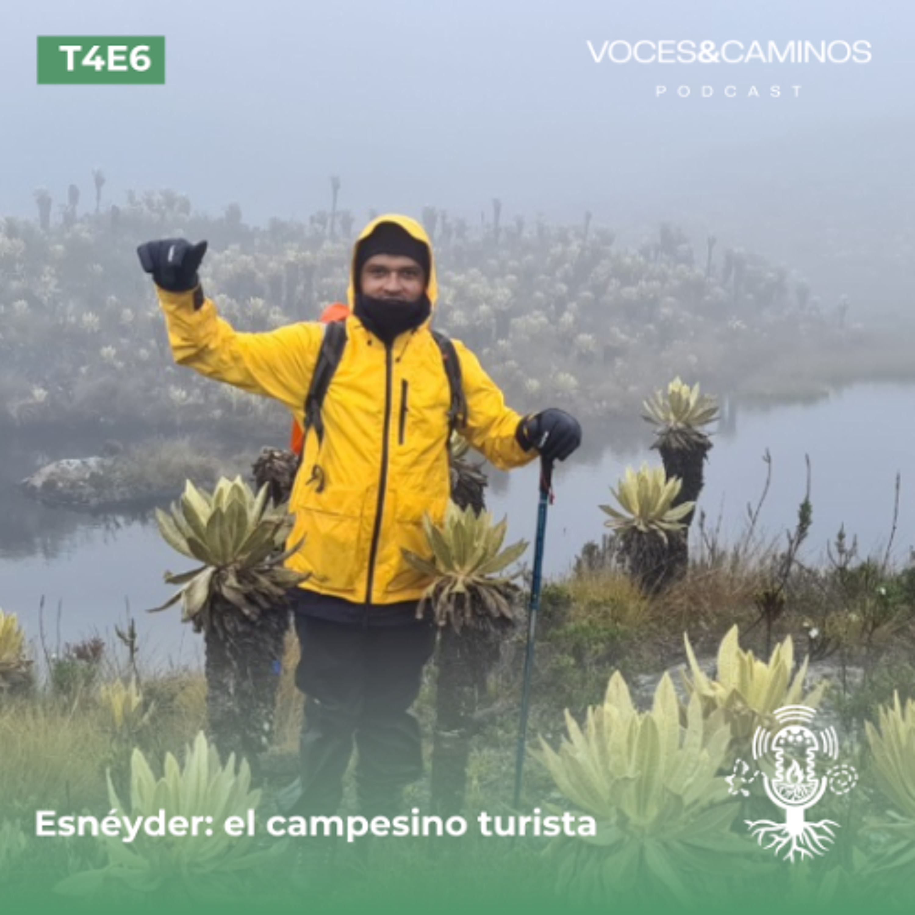 Voces y Caminos