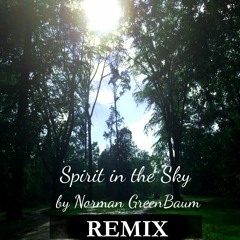 Spirit in the Sky by Norman Greenbaum [Remix]