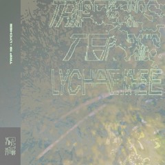 Trip 19 - Lychee