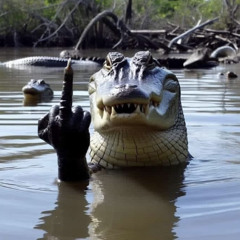 DaBottomPhlawdawayzz.m4a