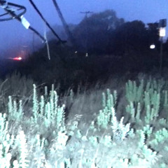 like a tattoo (live)