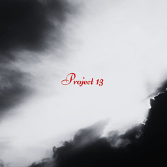 Project 13