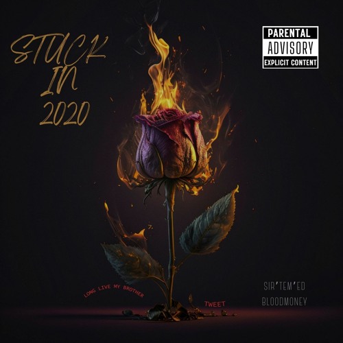 Sir'tem'ed BloodMoney - Stuck in 2020