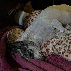 Taste the heat alex hydes one original track