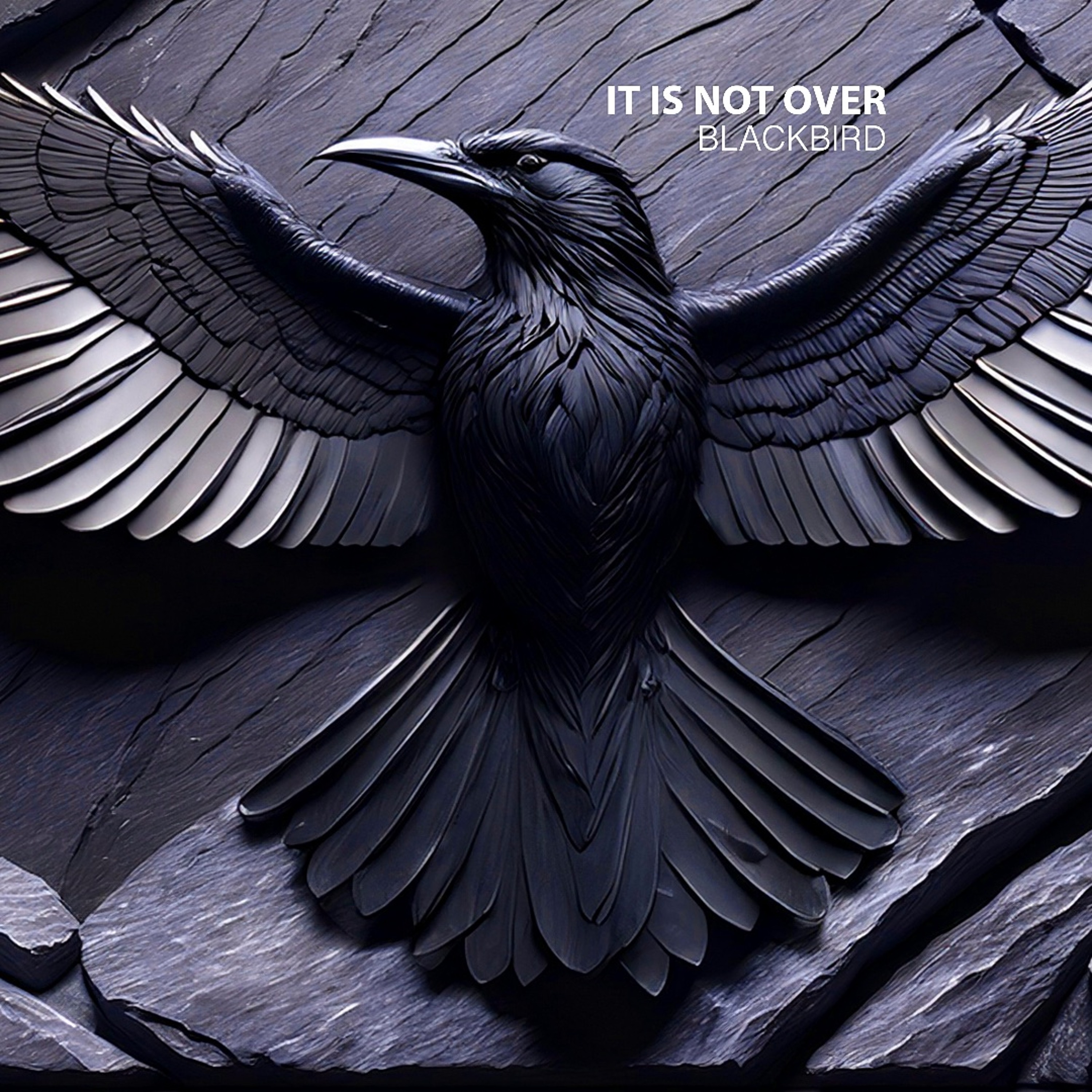 It Is Not Over episode artwork