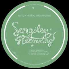 PREMIERE: HATT.D - I Should've Listened To You [Sengiley Records]