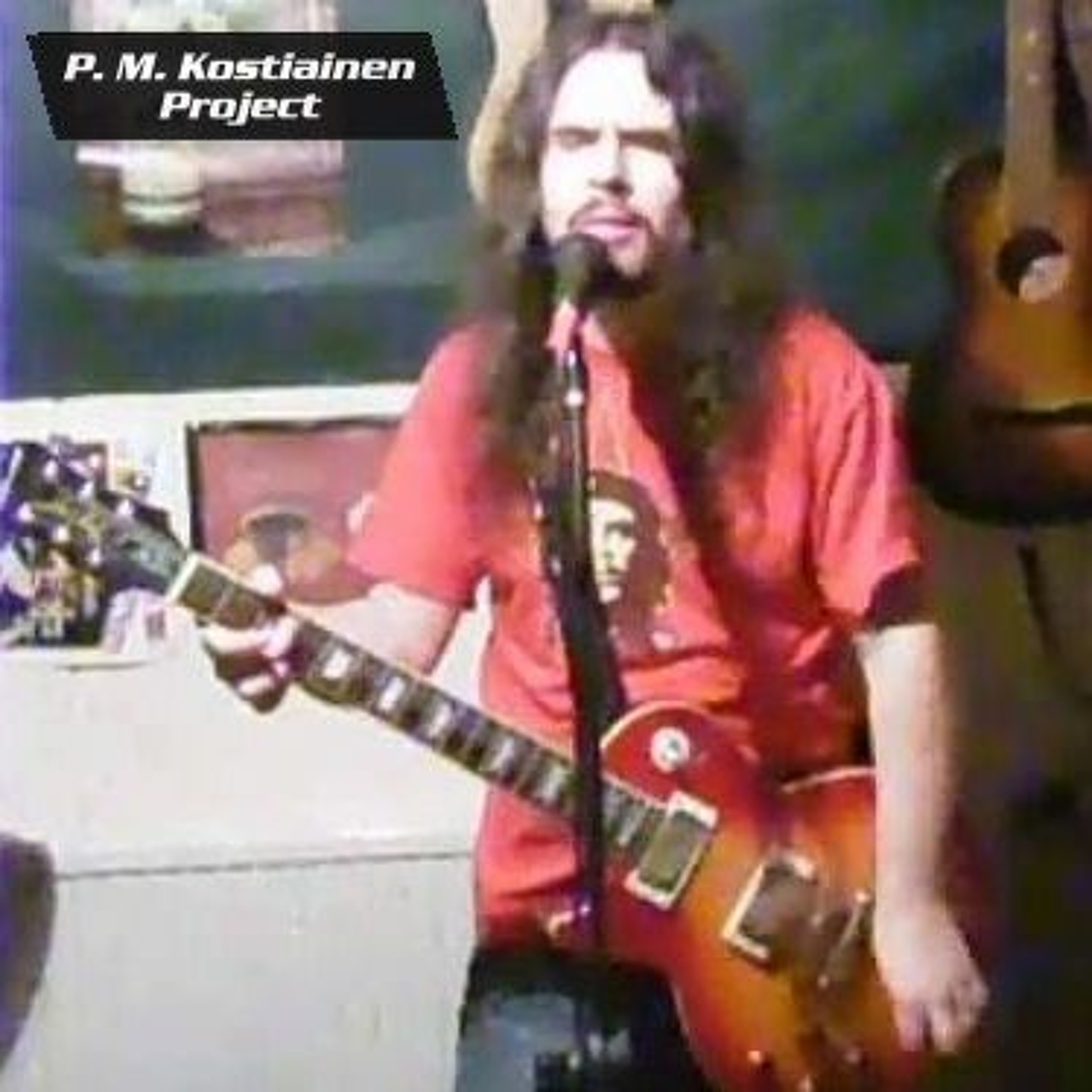 P. M. Kostiainen Project
