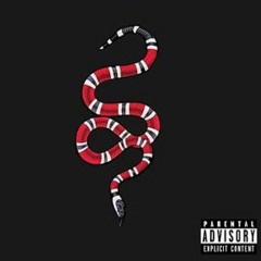 🔥 Smiling Snakes - Drizzazy - Prod.SMKoolin 🔥