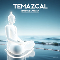 198 REMIX TEMAZCAL BUDABONGÔ.wav