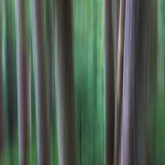 2D - Cascades