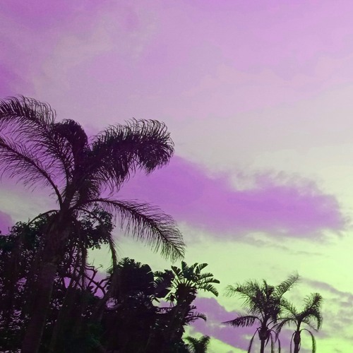 Maybe One Day You and I Will Meet