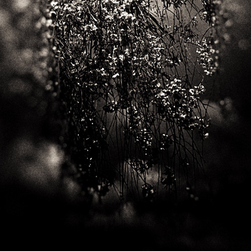 ŞeafoamŞweaterGirl & ðüşț • The Şky Çrieş