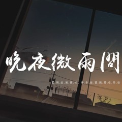 王雨桐 - 晚夜微雨问海棠「爱恨此消彼长，停步回望我陪你同往」【動態歌詞/pīn yīn gē cí】