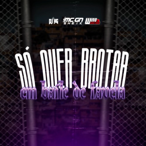 SÓ QUER BROTAR EM BAILE DE FAVELA - GN SHEIK, DJ HG & WL DO YTB