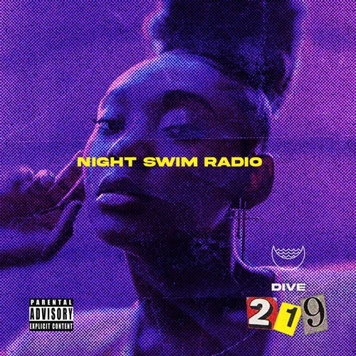 Stream Night Swim Radio - Dive 219 by Night Swim Radio | Listen online for  free on SoundCloud