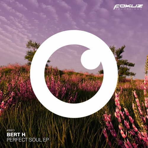 Bert H - Static Funk